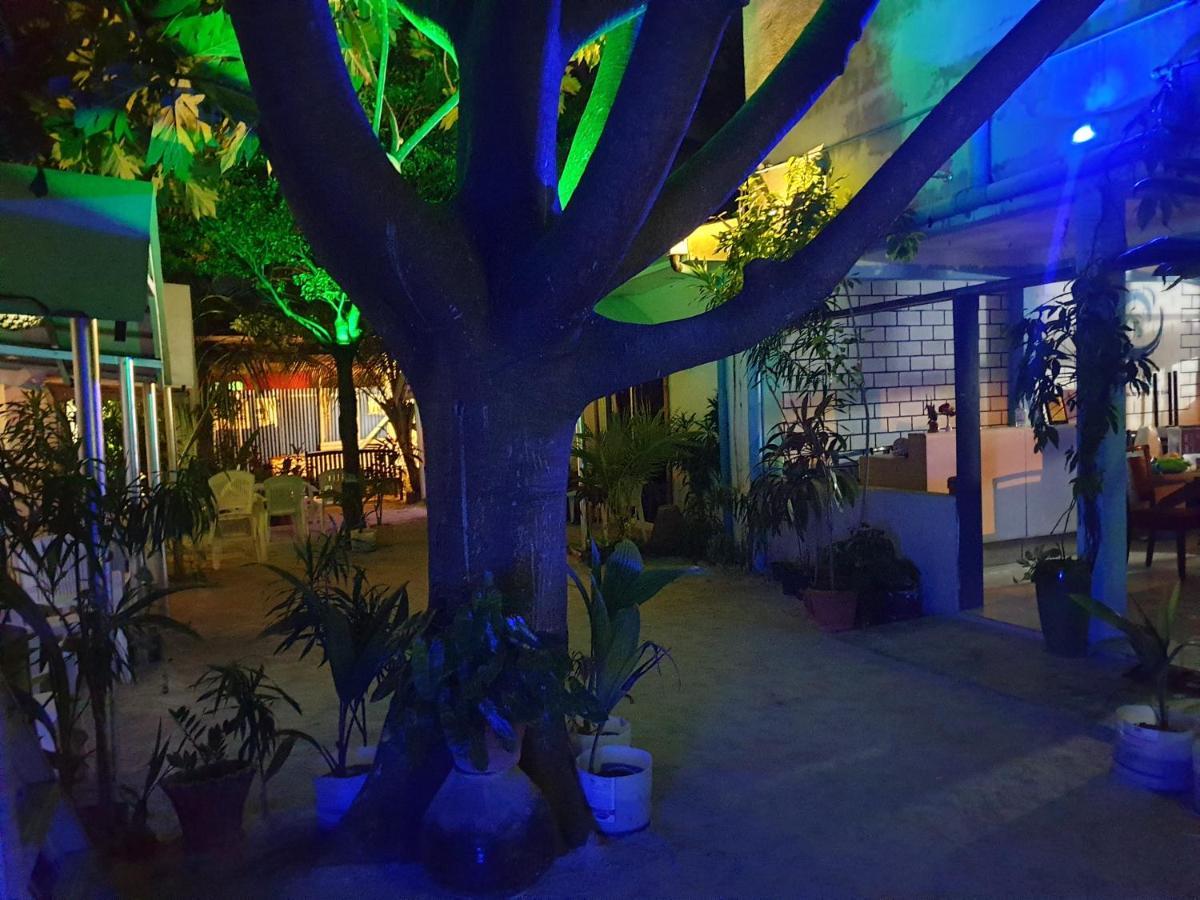 Maafushi View Hotel Exterior foto